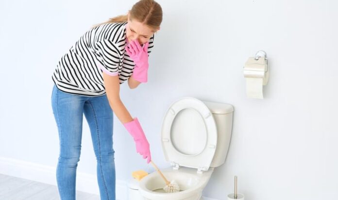 How To Eliminate Toilet Bowl Odor