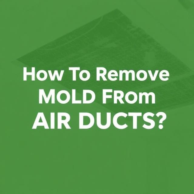 Remove Mold From Air Duct