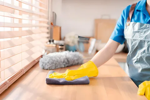 house cleaners